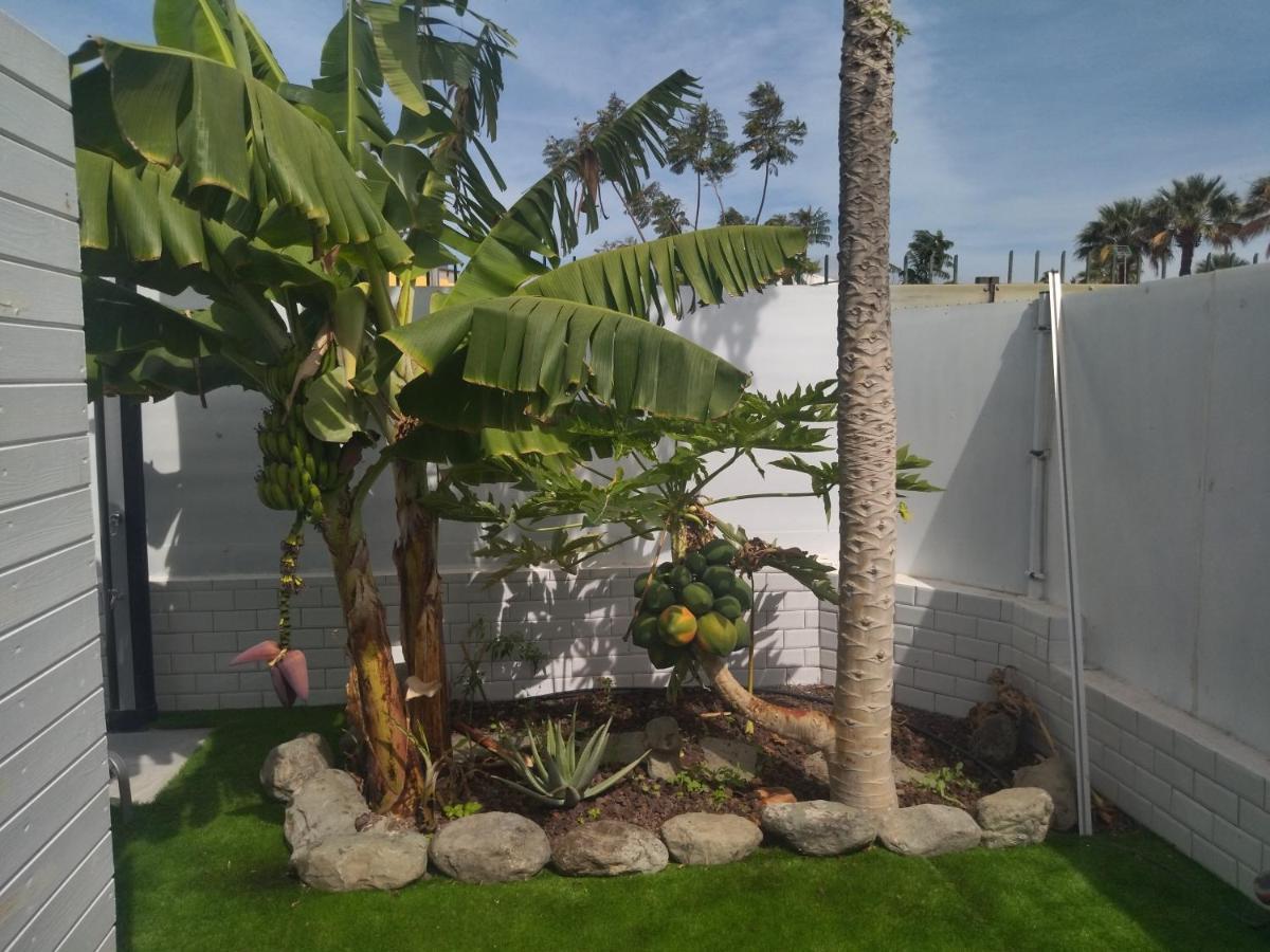 Las Tartanas 110-1-2 Maspalomas  Zewnętrze zdjęcie
